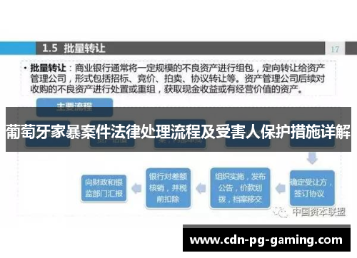 葡萄牙家暴案件法律处理流程及受害人保护措施详解