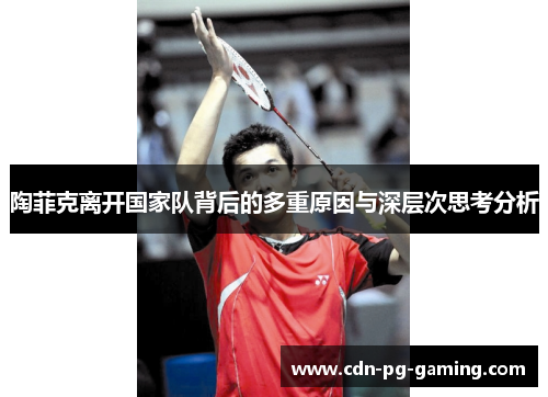 陶菲克离开国家队背后的多重原因与深层次思考分析 陶菲克离开国家队背后的多重原因与深层次思考分析